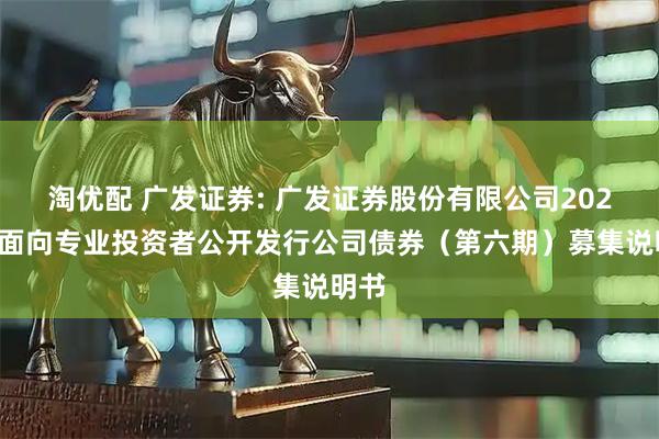 淘优配 广发证券: 广发证券股份有限公司2025年面向专业投资者公开发行公司债券(第六期)募集说明书