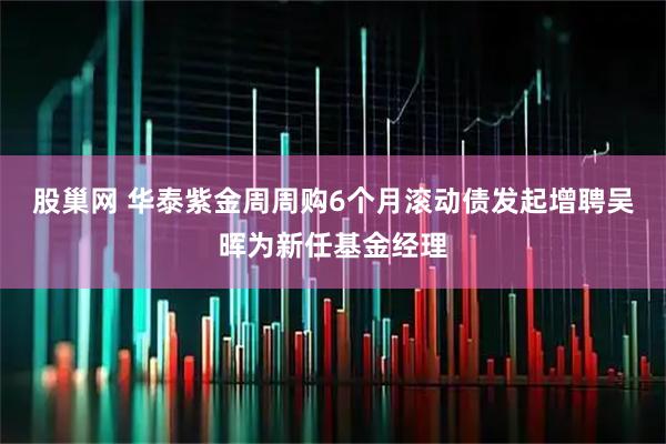股巢网 华泰紫金周周购6个月滚动债发起增聘吴晖为新任基金经理