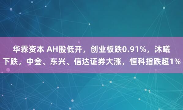 华霖资本 AH股低开,创业板跌0.91%,沐曦下跌,中金、东兴、信达证券大涨,恒科指跌超1%