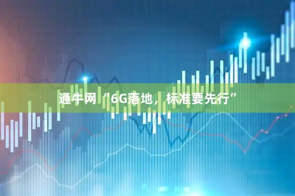 通牛网 “6G落地，标准要先行”