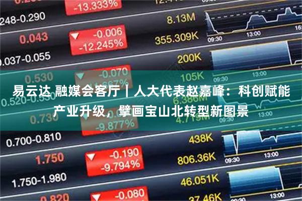 易云达 融媒会客厅|人大代表赵嘉峰:科创赋能产业升级,擘画宝山北转型新图景